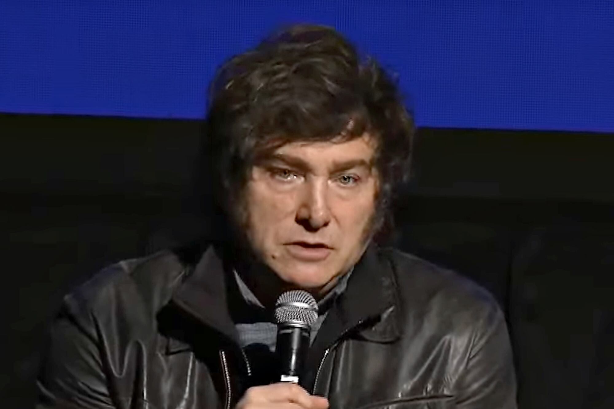 El presidente Javier Milei