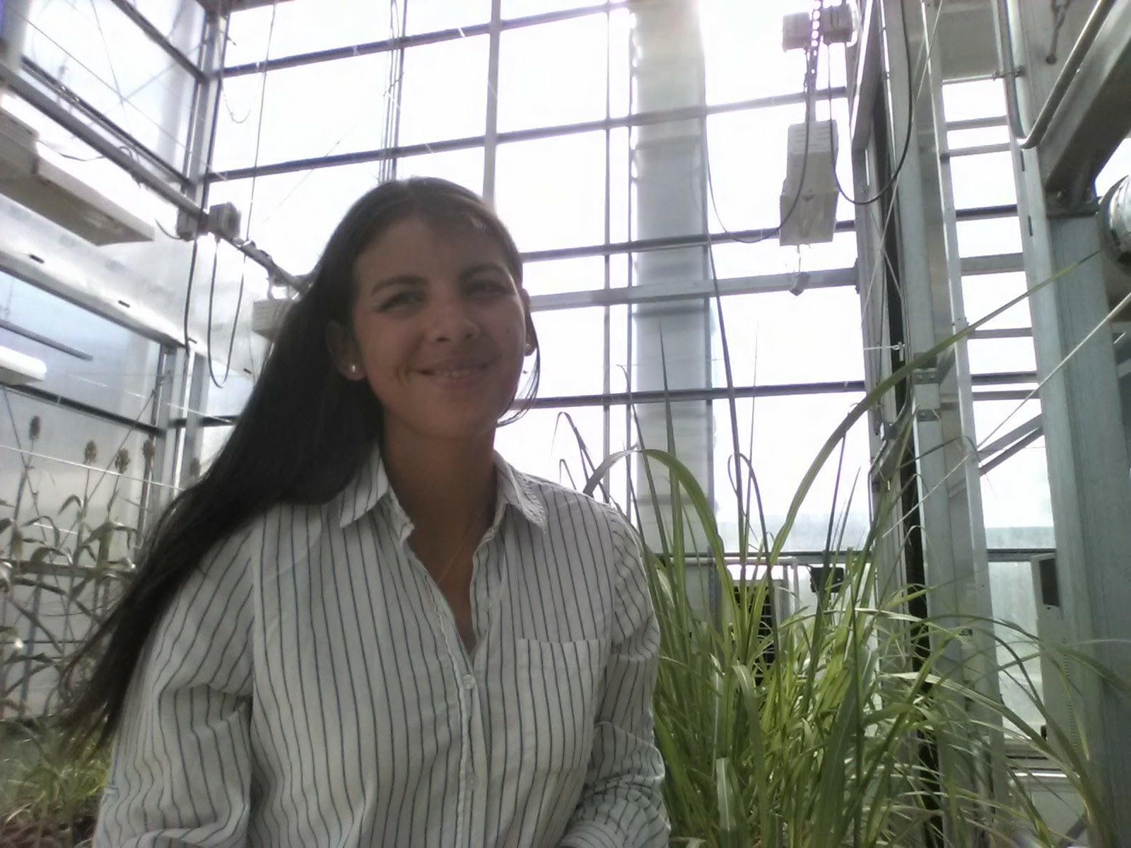 Desde Holanda lidera una investigación vinculada a la bioeconomía y al aprovechamiento de materiales vegetales descartados