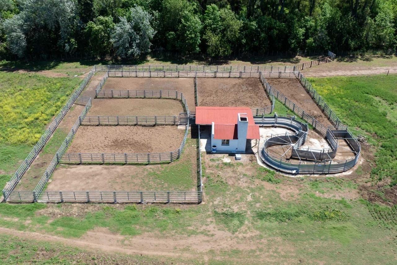 La Cassina es un campo de 5400 hectáreas en el partido de Guaminí, cercano a la laguna de Cochicó