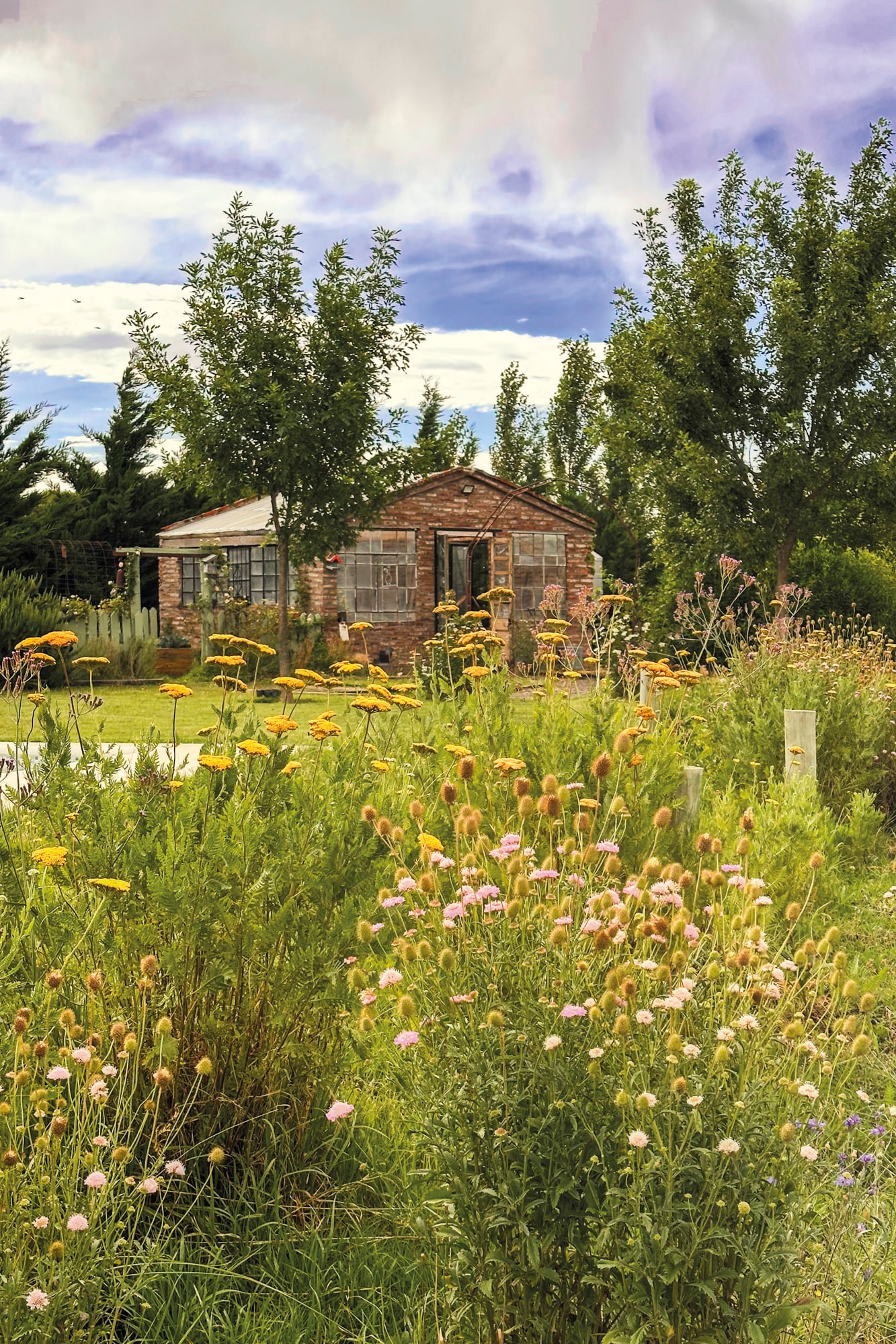Vista del jardín serrano