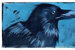 El cuervo, ave enigmática y simbólica