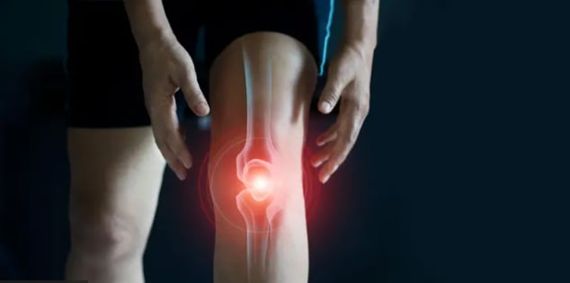 Estudios con animales lograron regenerar cartílago y hueso en rodillas afectadas por osteoartritis, un avance que podría derivar en futuros tratamientos en humanos