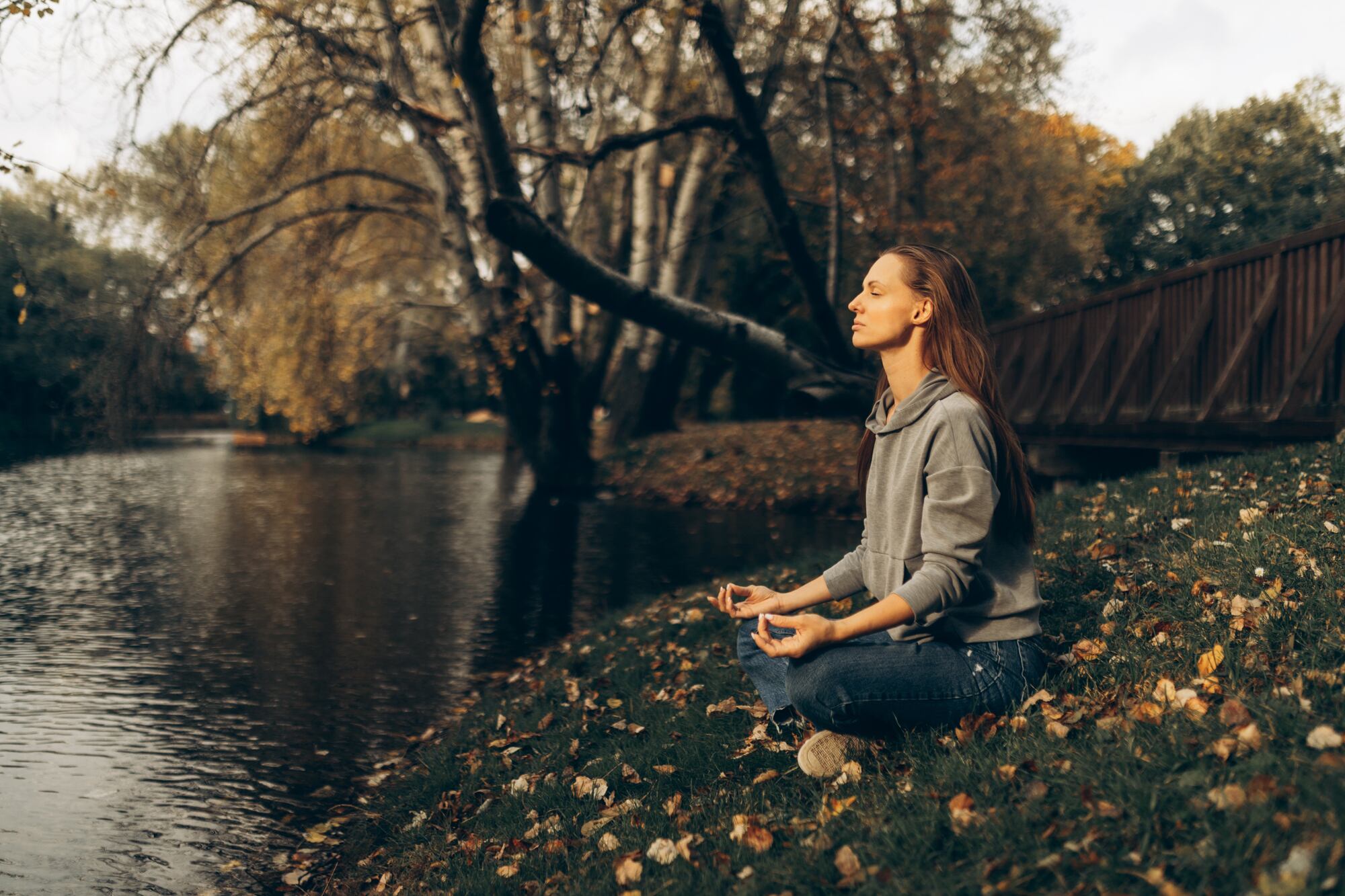 Meditar es centrar la atención en un punto, procurando que el foco atencional no se vaya para otro lado, preso de la red de divagación