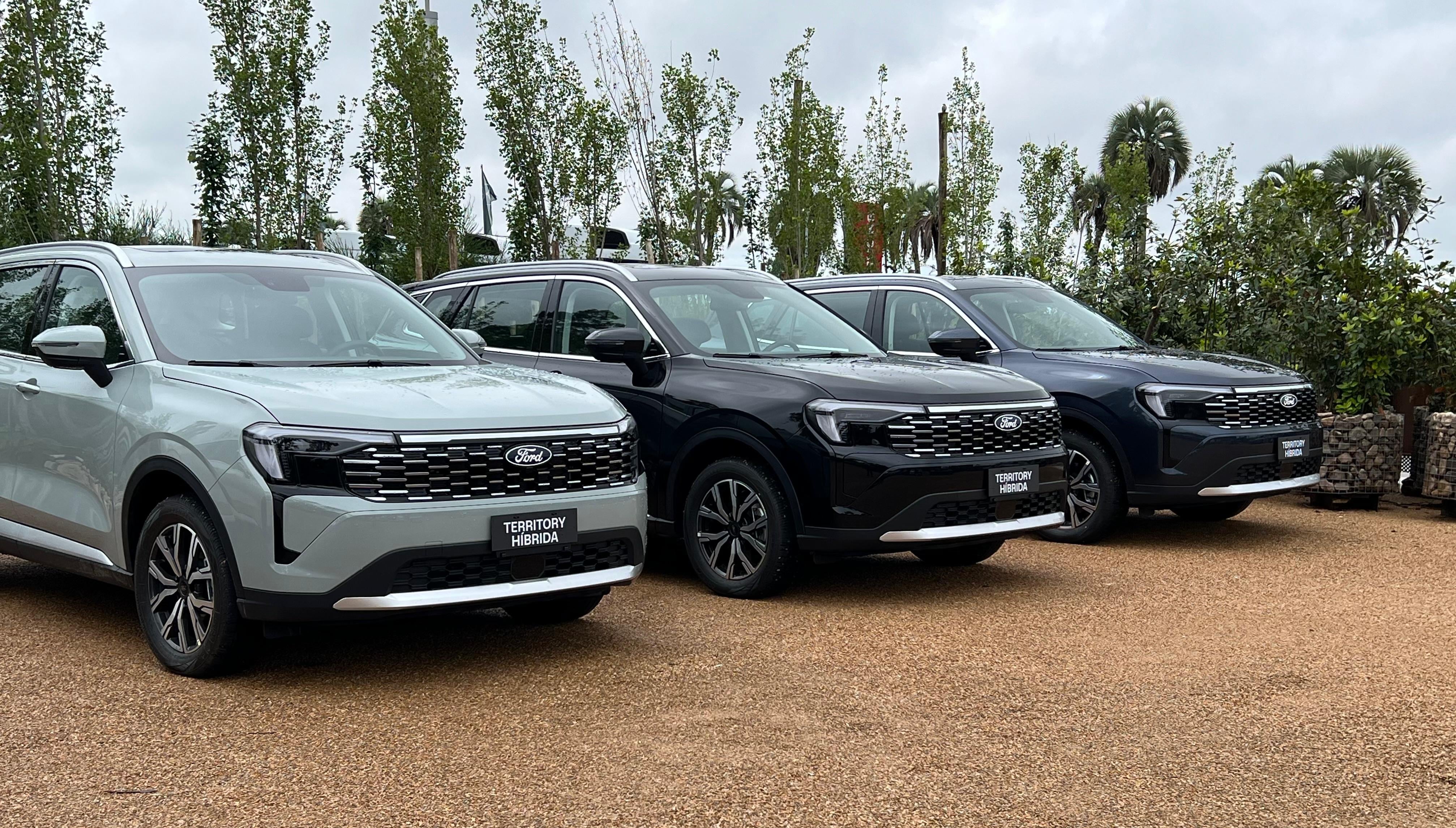 El modelo ingresó bajo el régimen de electrificados