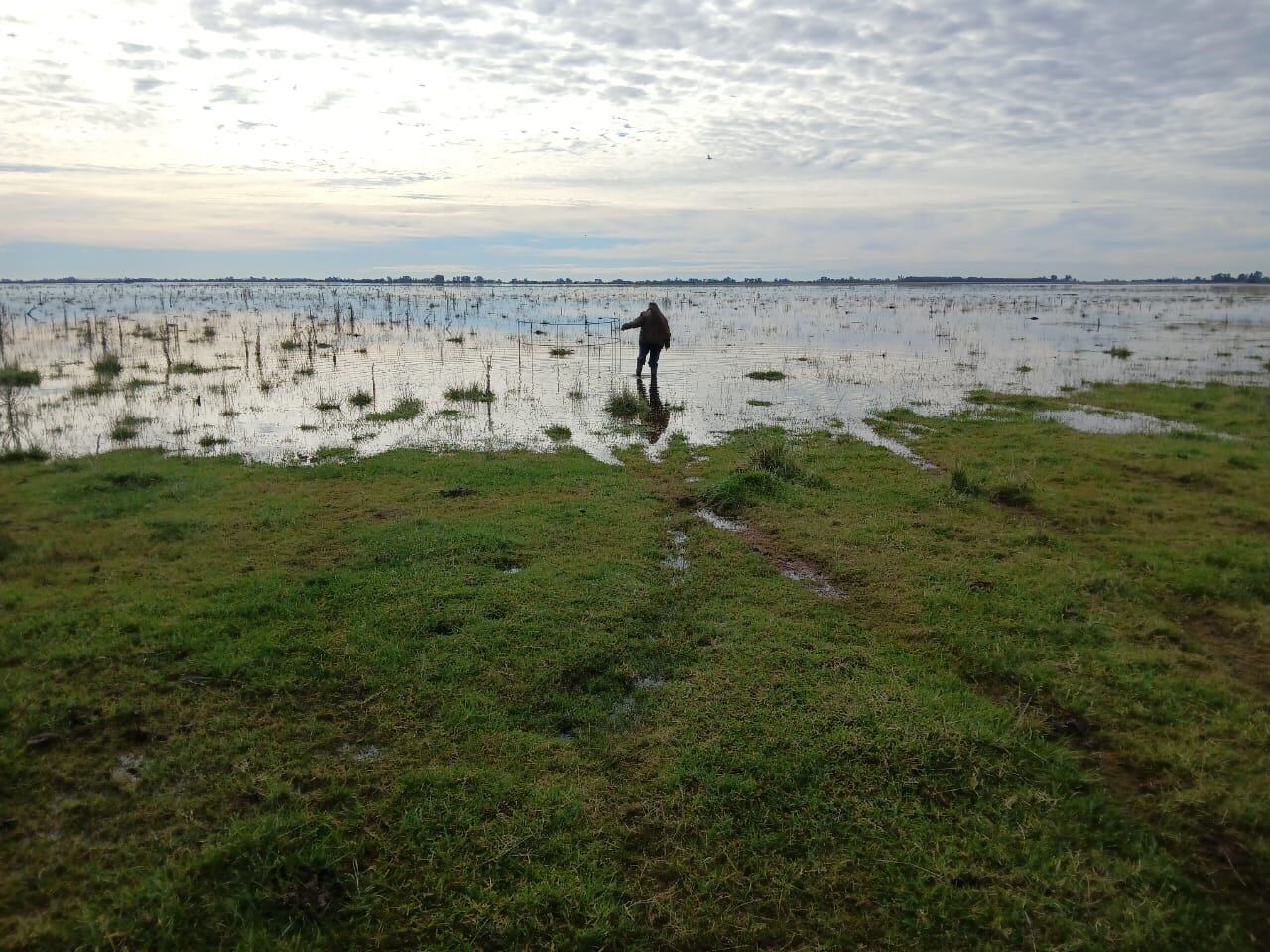 Laura Cagnone reflejó de manera cruda la situación que atraviesa en su establecimiento agropecuario
