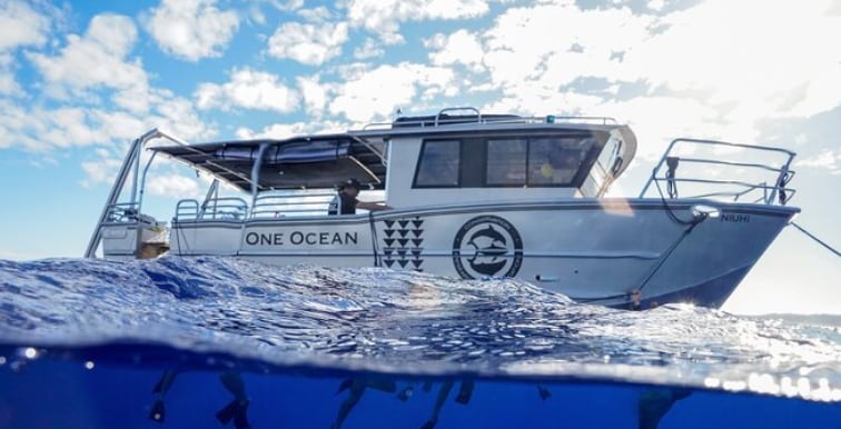 Fundada en 2011, One Ocean Diving combina programas de buceo, de divulgación educativa y campañas de acción para promover la conservación