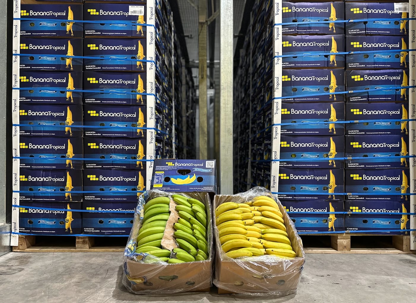 Inversión de US$2 millones: una histórica empresa de la Patagonia busca cambiar cómo llegan las frutas a las góndolas