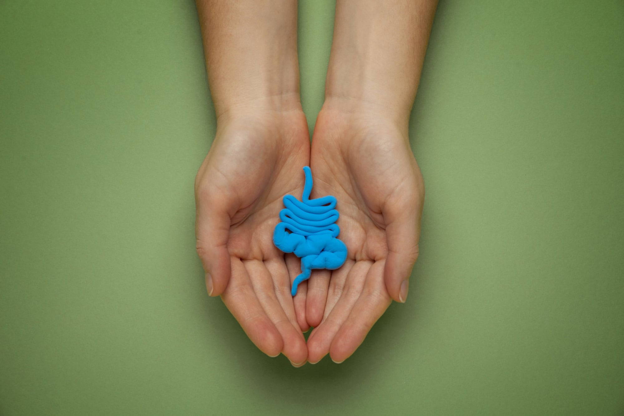 La pérdida de la memoria comienza en el sistema digestivo: el sorprendente hallazgo médico 6 La investigación determinó que el proceso comienza con cambios microbianos y metabólicos derivados del paso del tiempo en el tracto digestivo