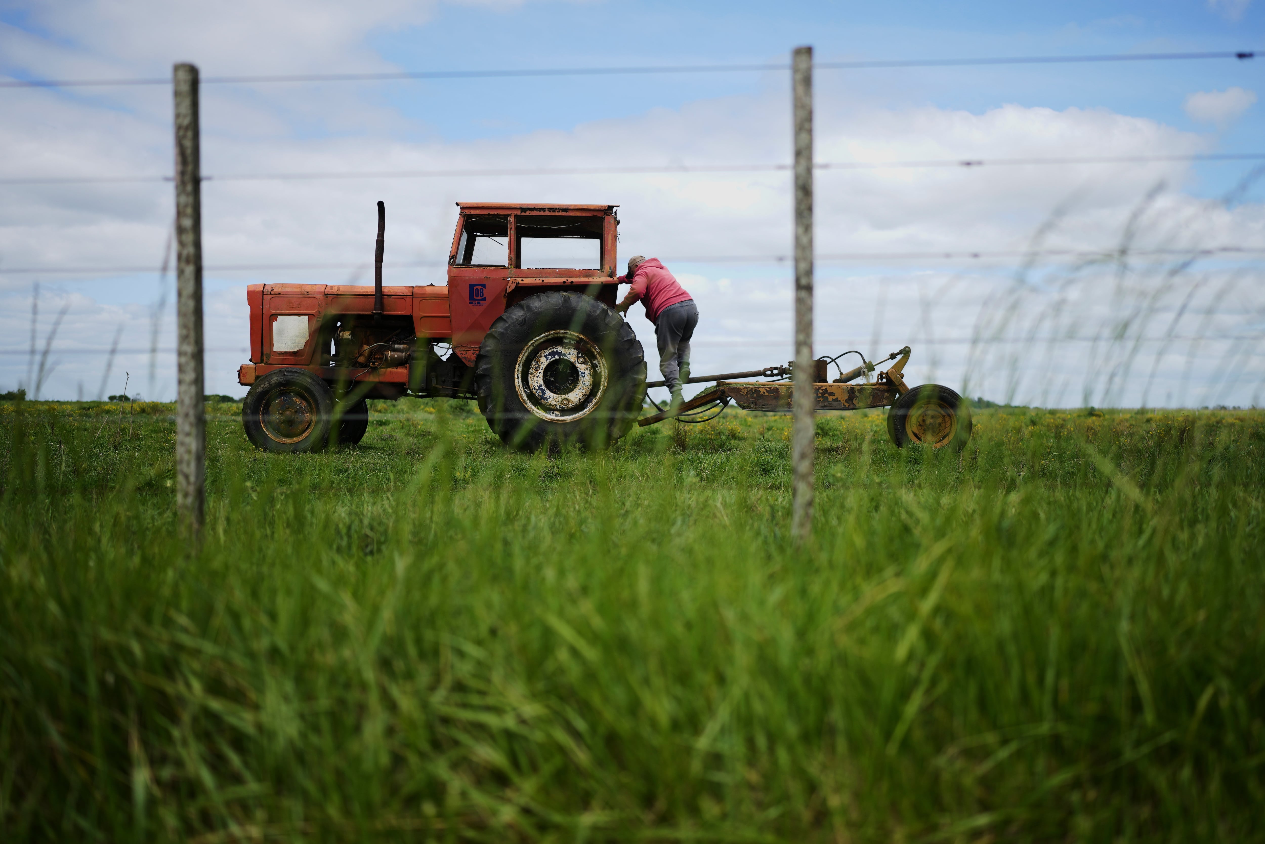 Trabajo en el campo (AP Photo/Natacha Pisarenko)