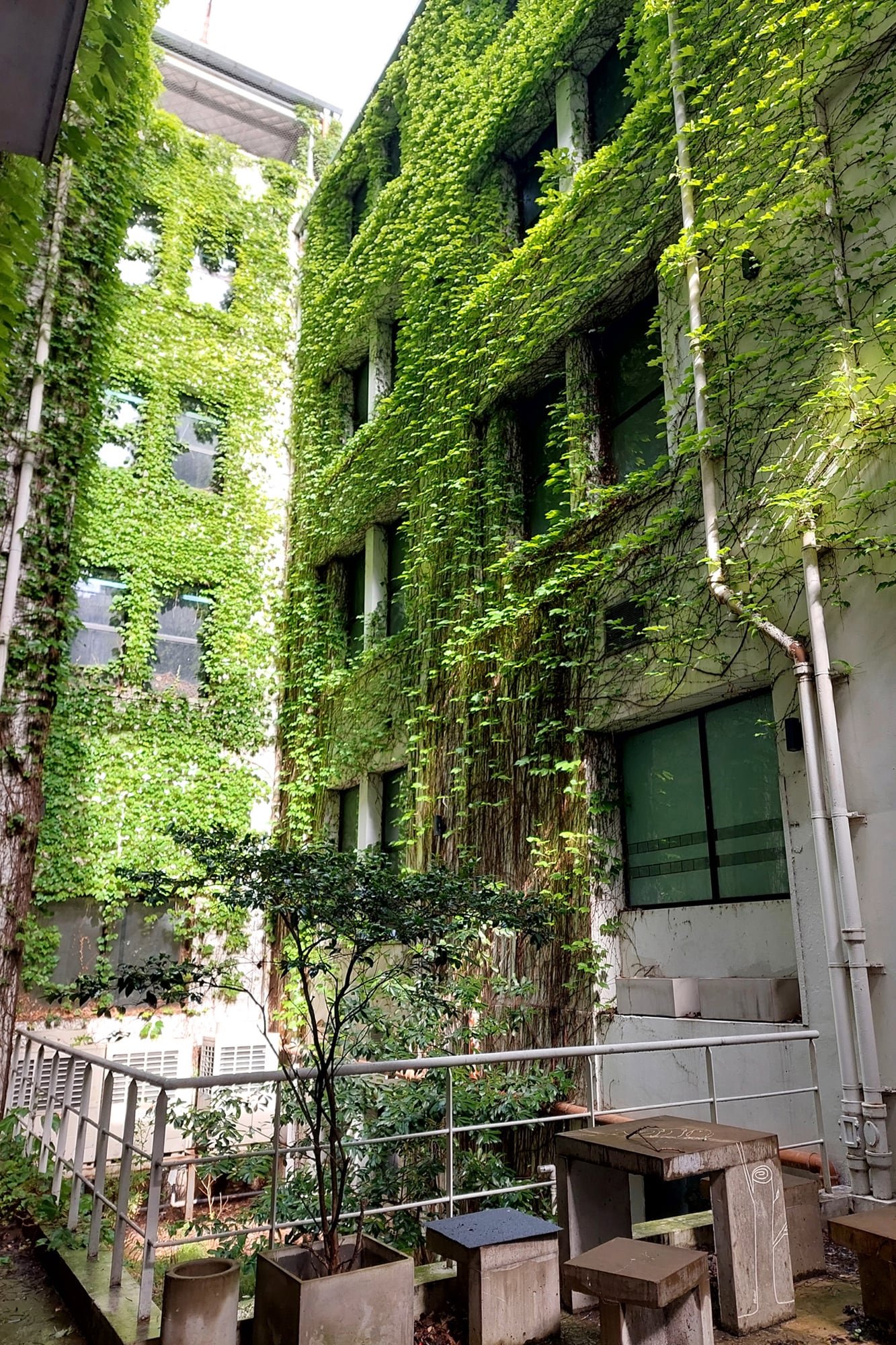 El verde en el interior del edificio es impactante