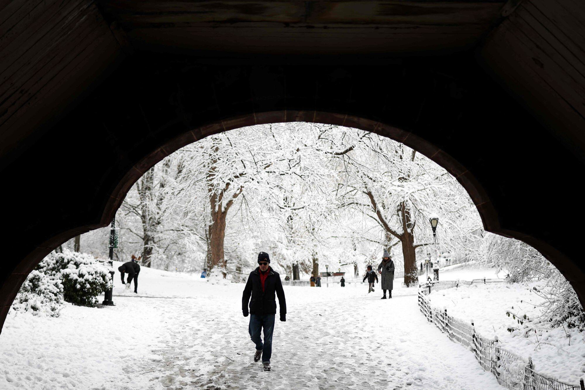 Central Park teñido de blanco