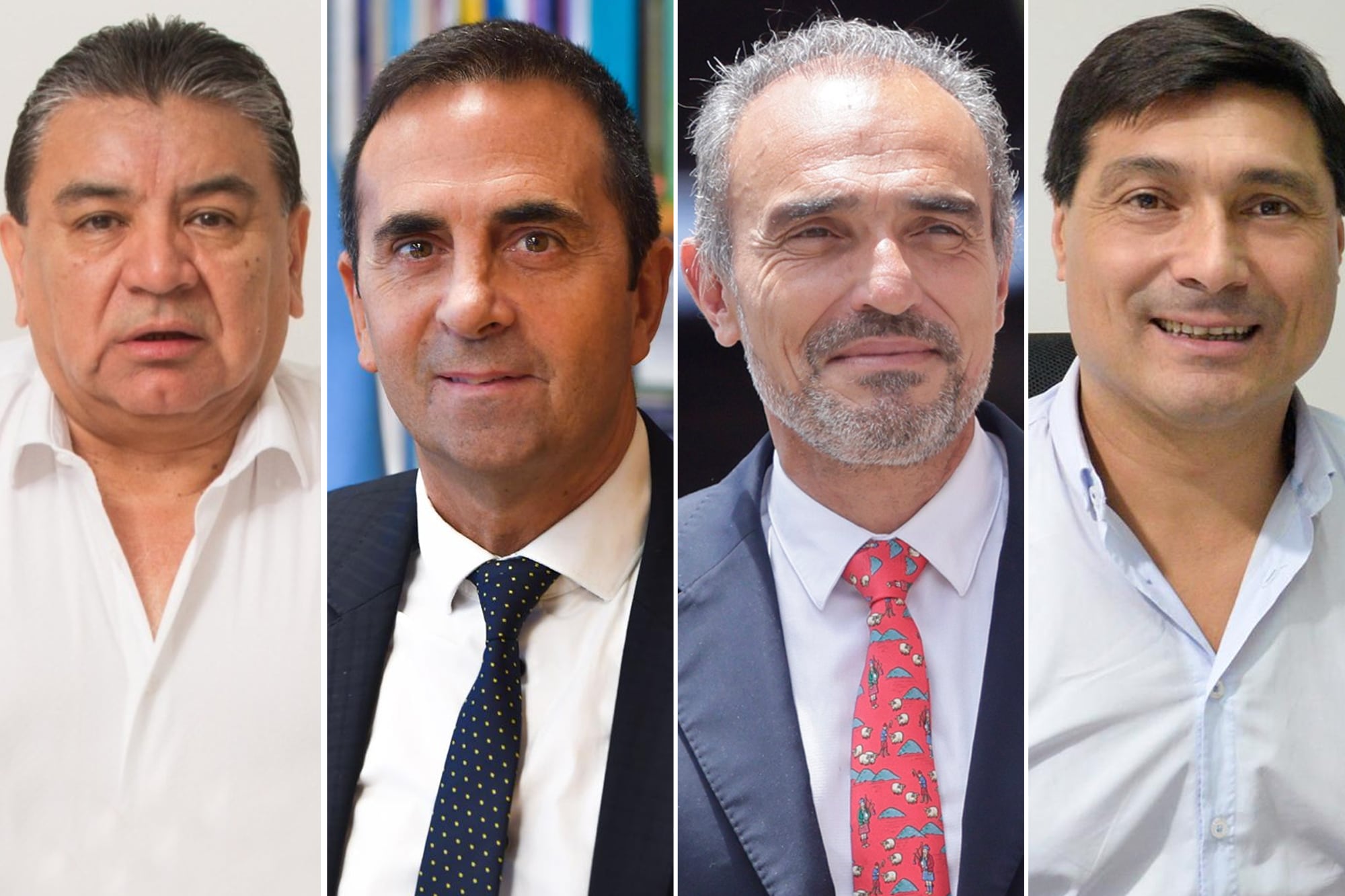 José Voytenco, Julio Cordero, Eduardo Lule Menem y Pablo Ansaloni.