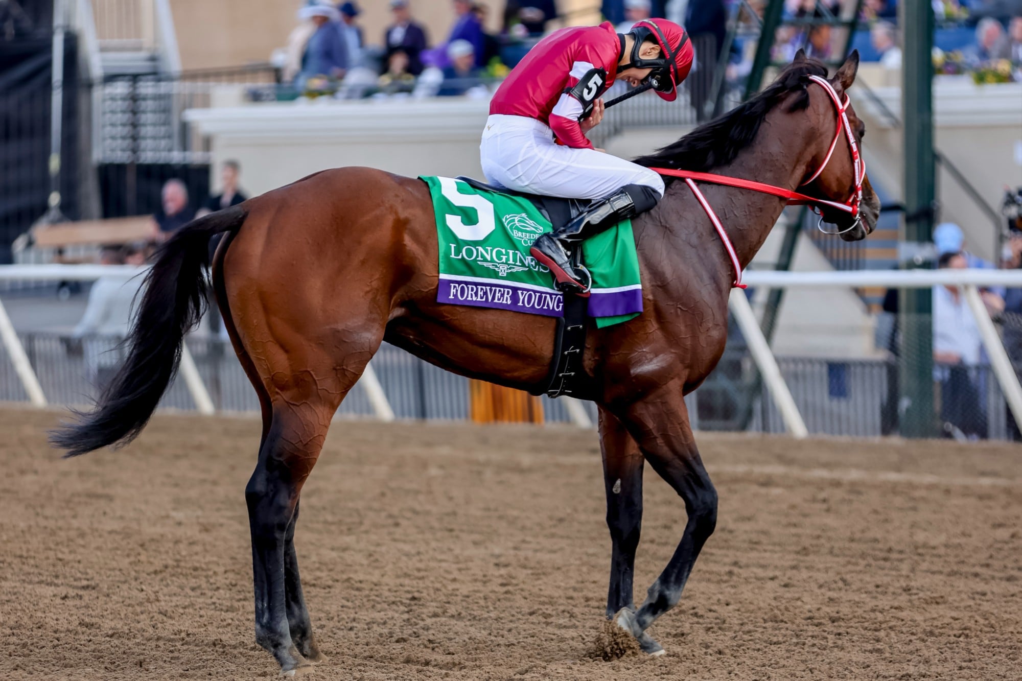 Forever Young, el samurái del turf mundial que rompió otro récord y ya tiene otro hito en la mira