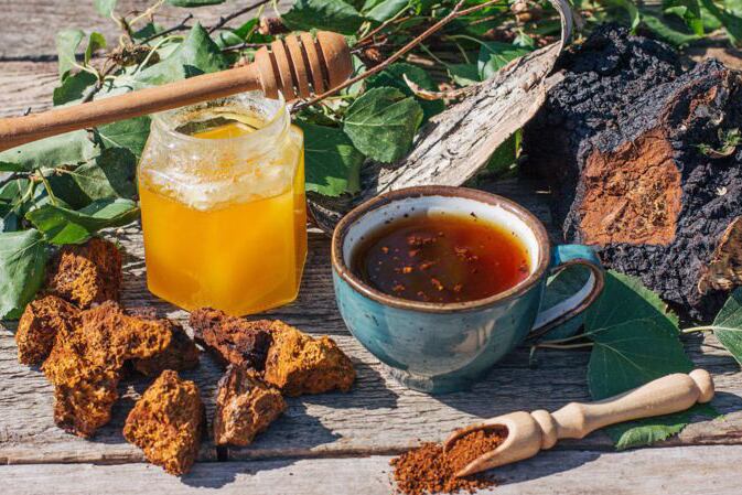El hongo chaga se vende en forma de extracto, suplemento, polvo o puede ingerirse como té