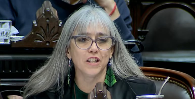 La legisladora Adriana Serquis