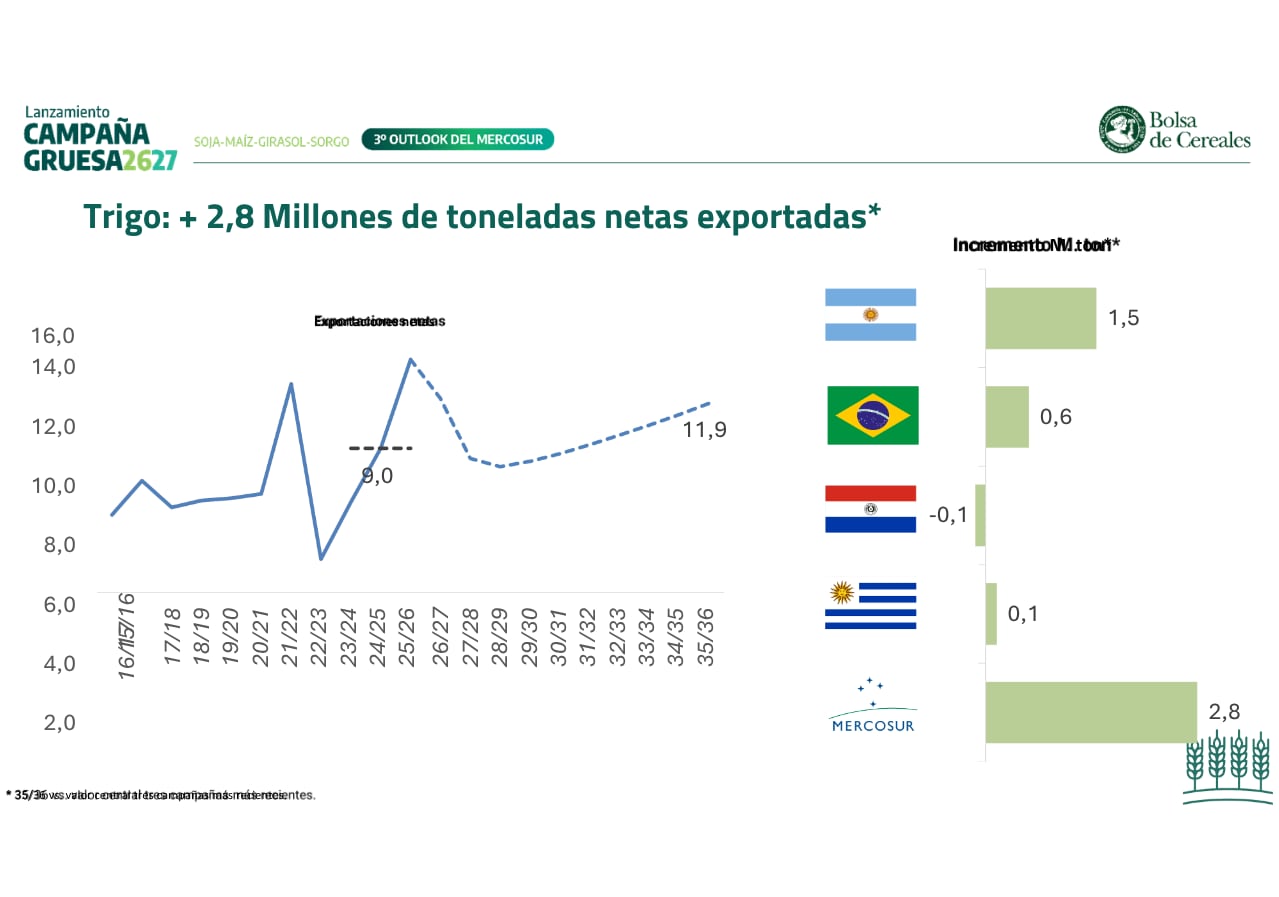 Las exportaciones netas de trigo del Mercosur aumentarían 2,8 millones de toneladas; la Argentina explicaría 1,5 millones de ese crecimiento