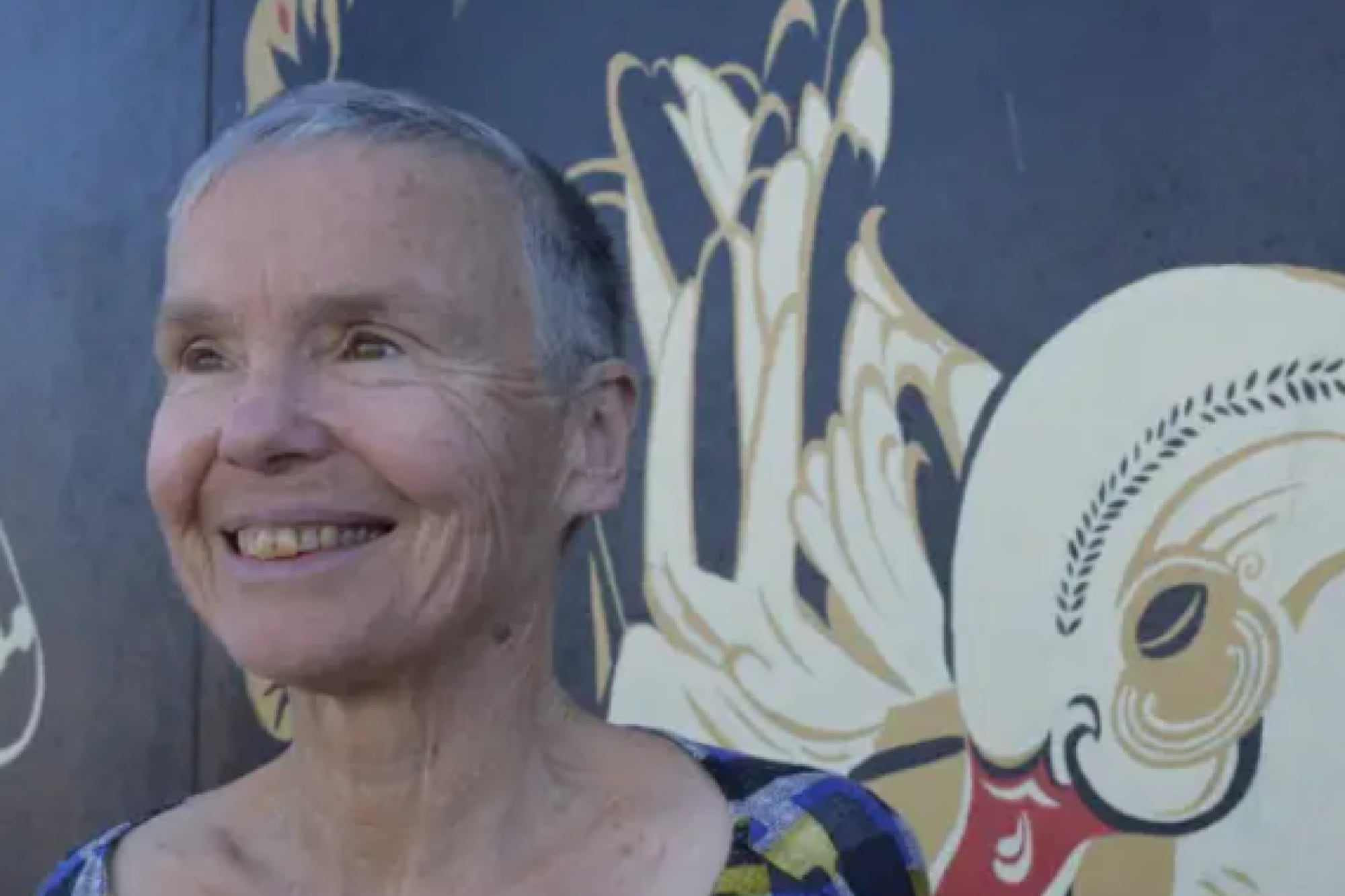 Pisoteadas por un elefante: dos turistas murieron “en cuestión de segundos” mientras hacían un safari