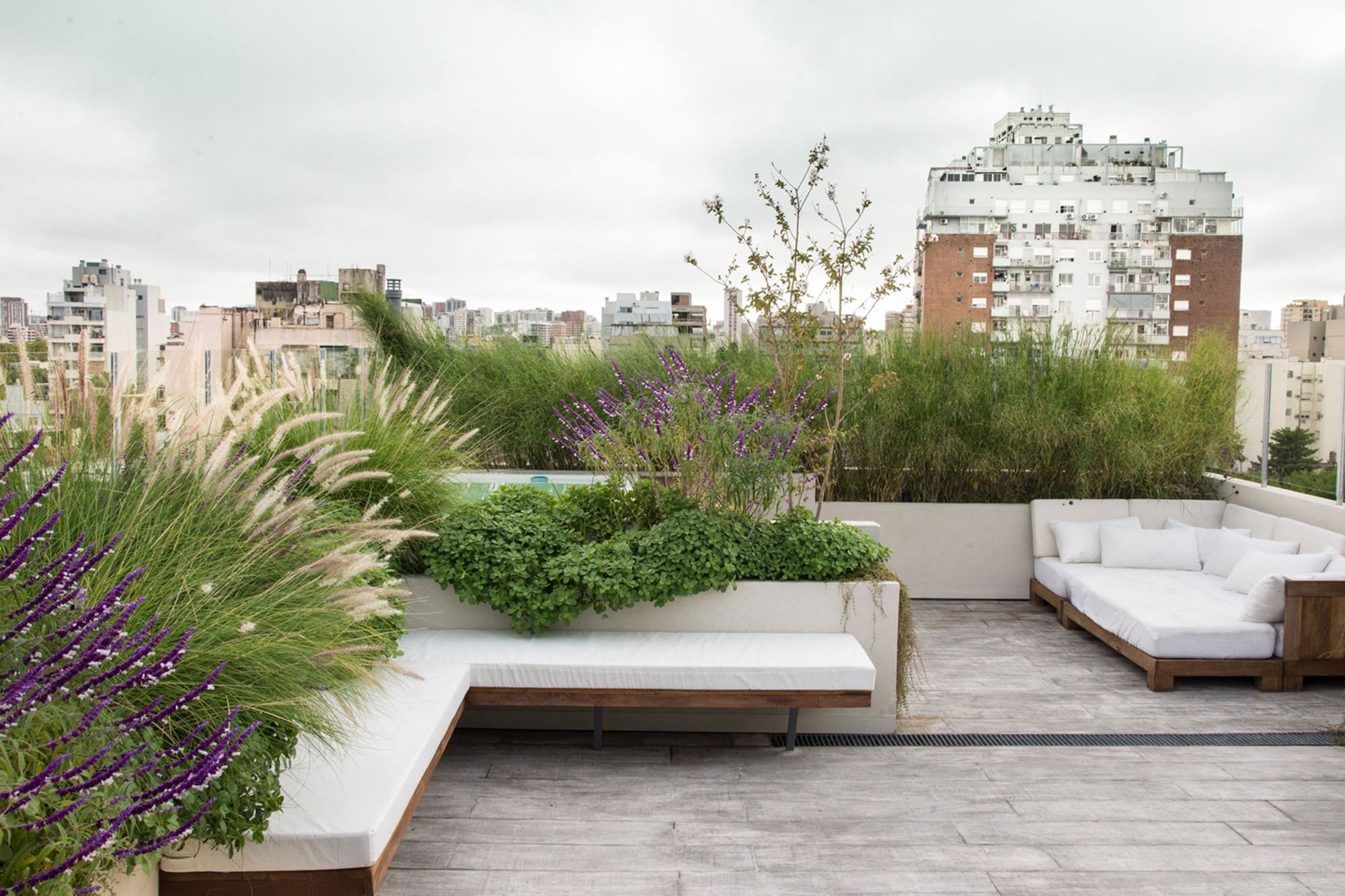 En terrazas y jardines elevados, el viento puede acelerar la pérdida de humedad y convertirse en un factor decisivo para la salud de las plantas