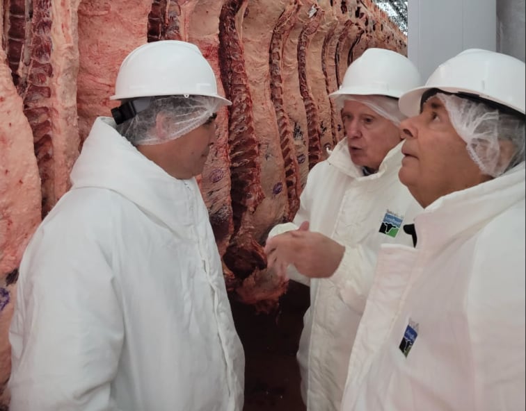 Con un eje exportador, hace un tiempo realizaron un convenio que está en pleno desarrollo con el Frigorífico Arrebeef, donde venden ese novillo pesado de más de 500 kilos a Noruega