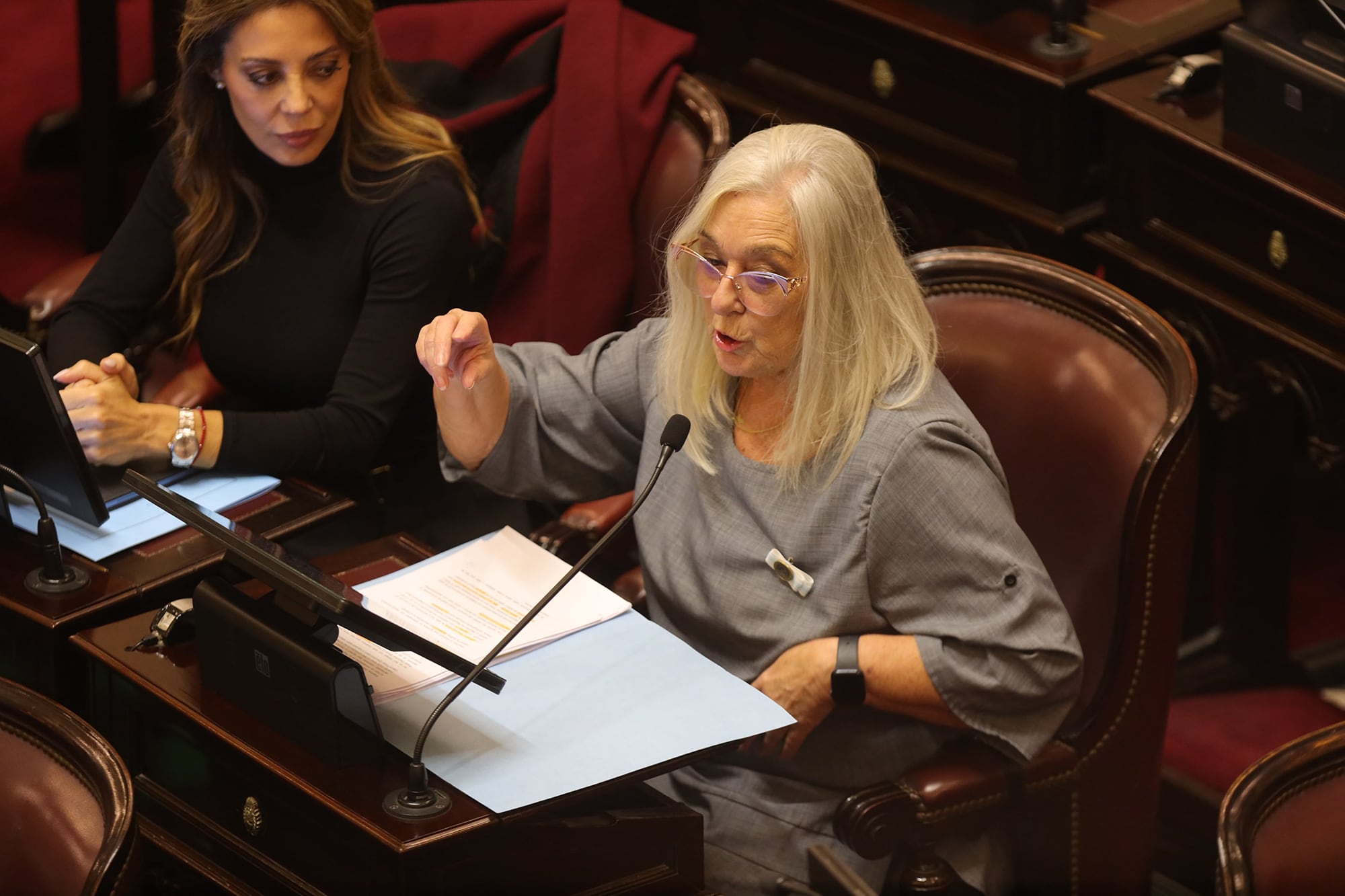 Aunque con críticas al Gobierno, Terenzi pregonó un discurso de unión