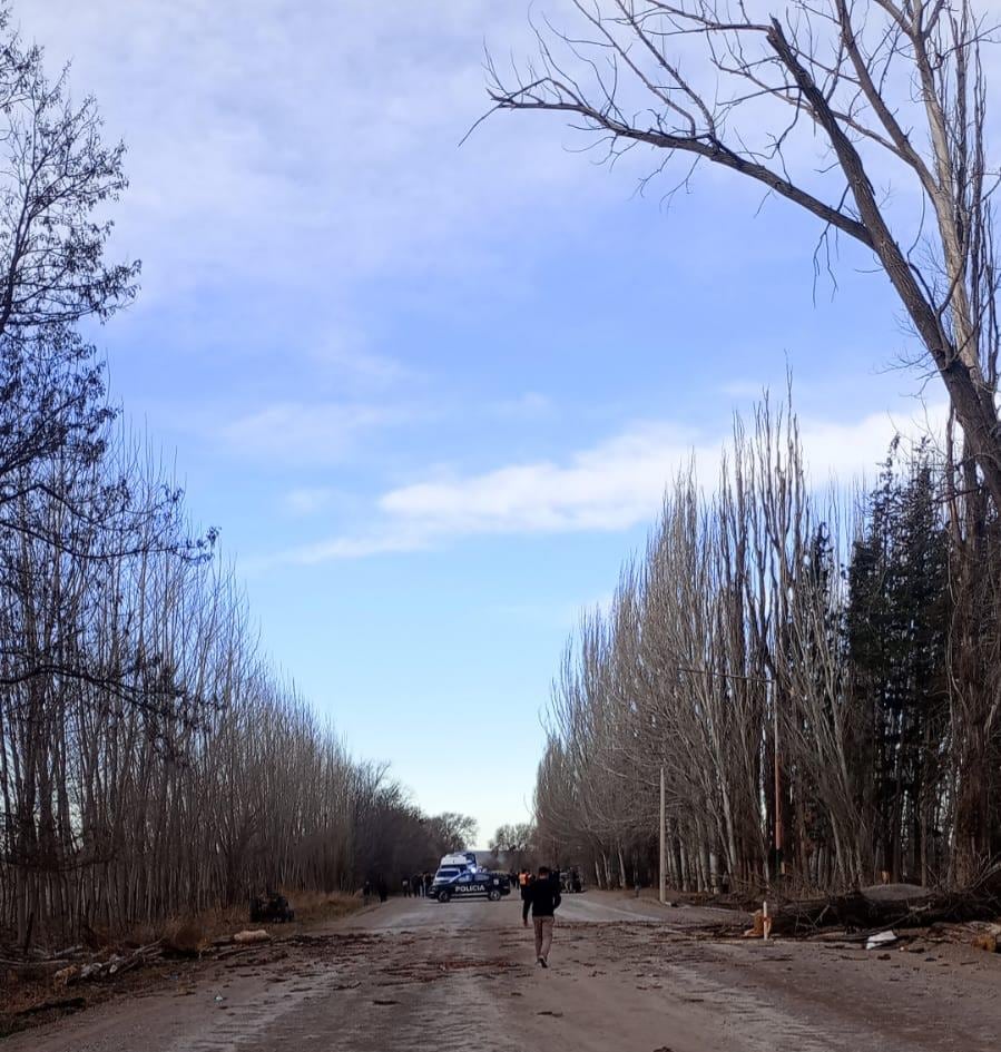 En muchos caminos rurales de Mendoza, los árboles están secos o tienen deficiencias peligrosas para el tránsito