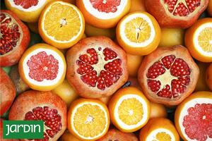 Qué frutas y verduras son un escudo contra los virus y bacterias que atacan el sistema respiratorio