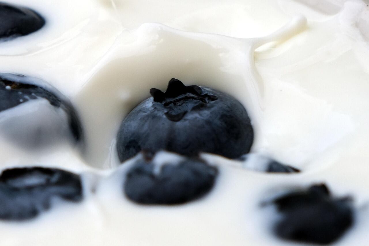 El yogur es un alimento fermentado a base de leche que tiene numerosas propiedades beneficiosas para la salud (Foto ilustrativa: PIXABAY)