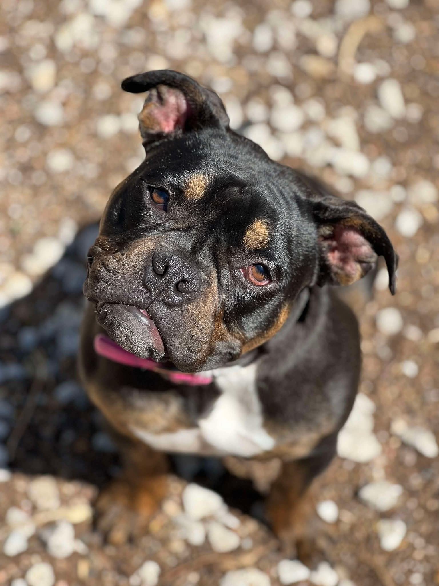 Pronto Blair fue trasladada a un hogar de tránsito.