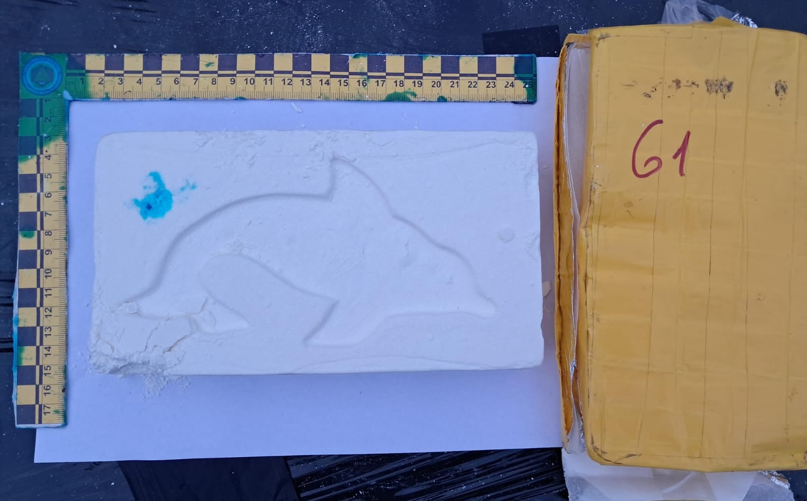 La droga secuestrada tenía el clásico sello del Delfín como marca de origen