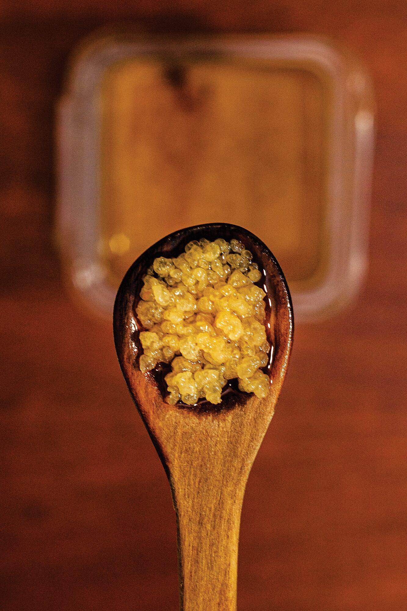 Al reforzar la barrera intestinal, se reduce la entrada de toxinas o patógenos al sistema