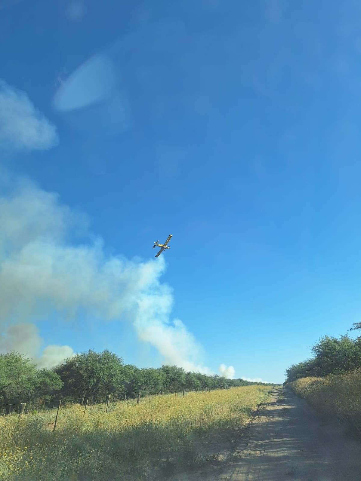 Ayer sumaron un avión hidrante del Plan Nacional del Manejo del Fuego (PNMF)