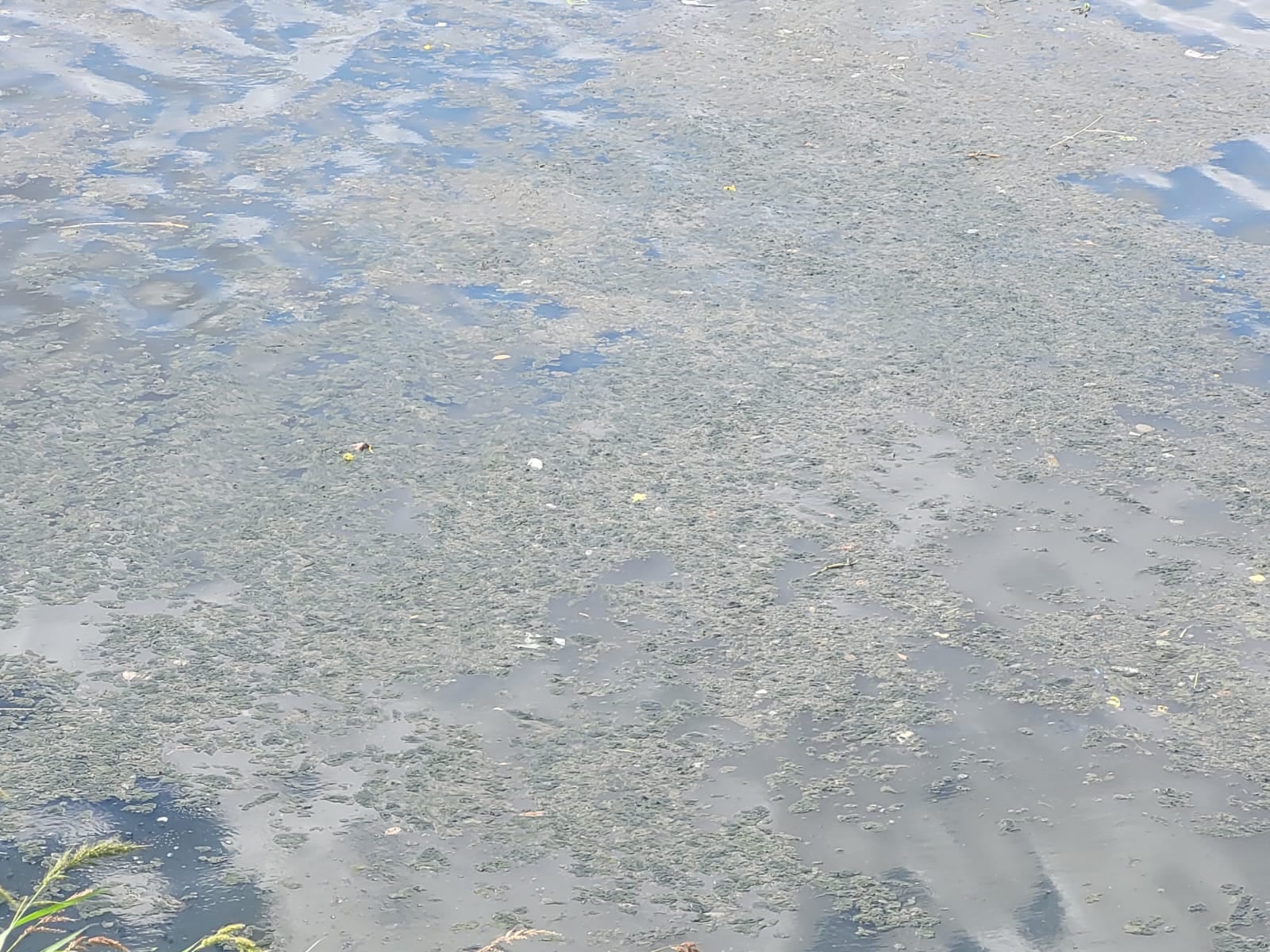 La omisión del Estado provincial para implementar una política sanitaria y ambiental adecuada lleva más de veinte años, advirtió el juez