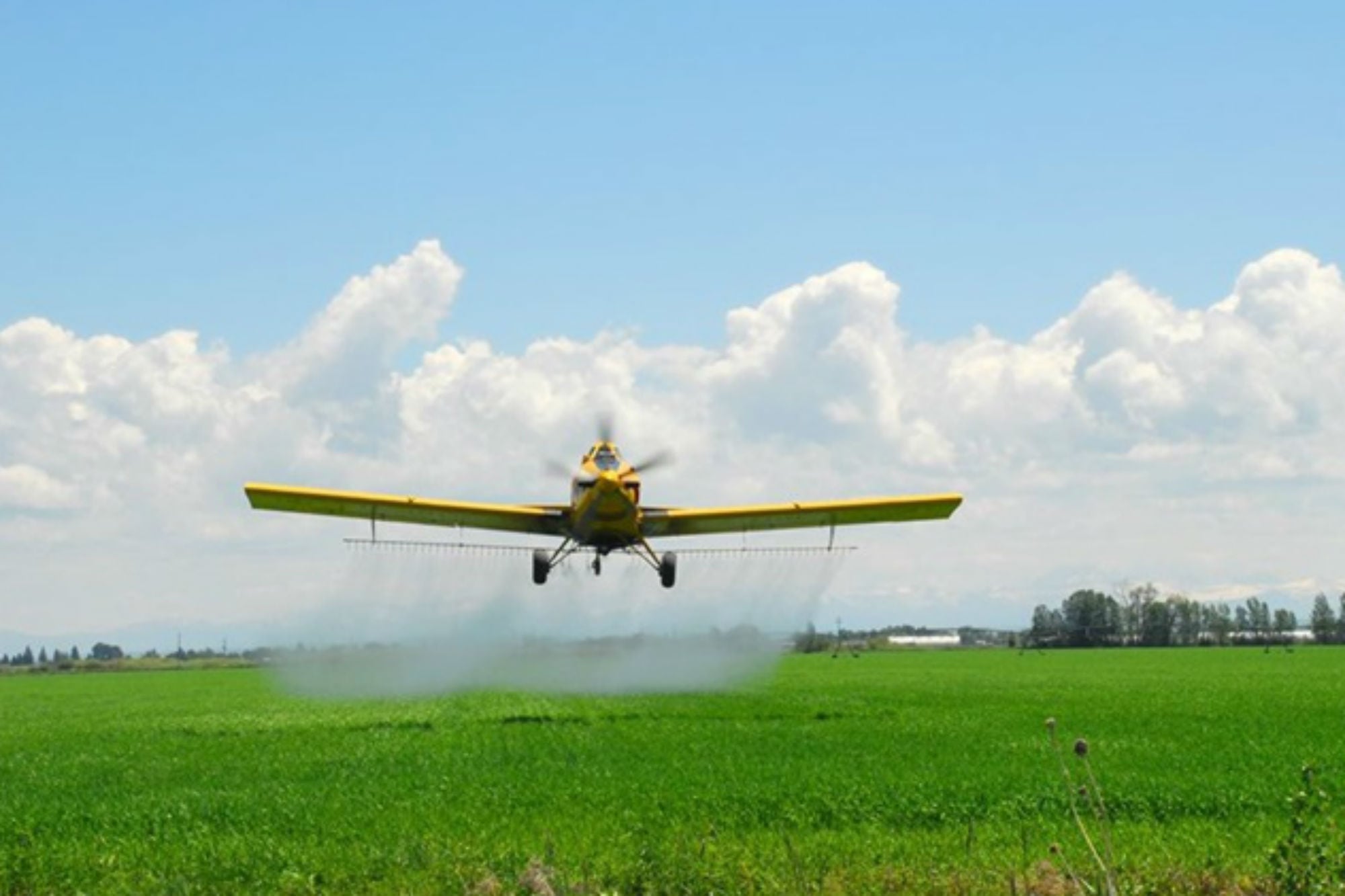 Se agiliza la importación de productos fitosanitarios ya comercializados en países de alta vigilancia —como la Unión Europea, Estados Unidos, Canadá, y ahora también Suiza, Noruega y Liechtenstein— mediante un sistema de declaración jurada y registro transitorio