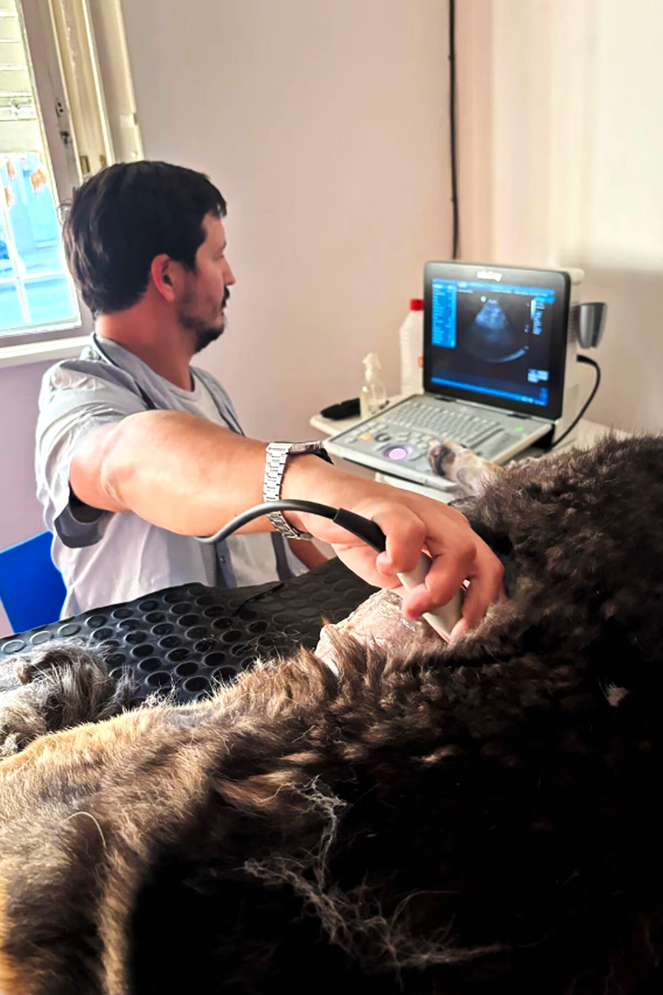Adrián Coccia (37), veterinario conocido entre los vecinos del barrio Macrocentro de Bahía Blanca, sufrió la destrucción de su veterinaria. Se hizo viral por un video en redes sociales.