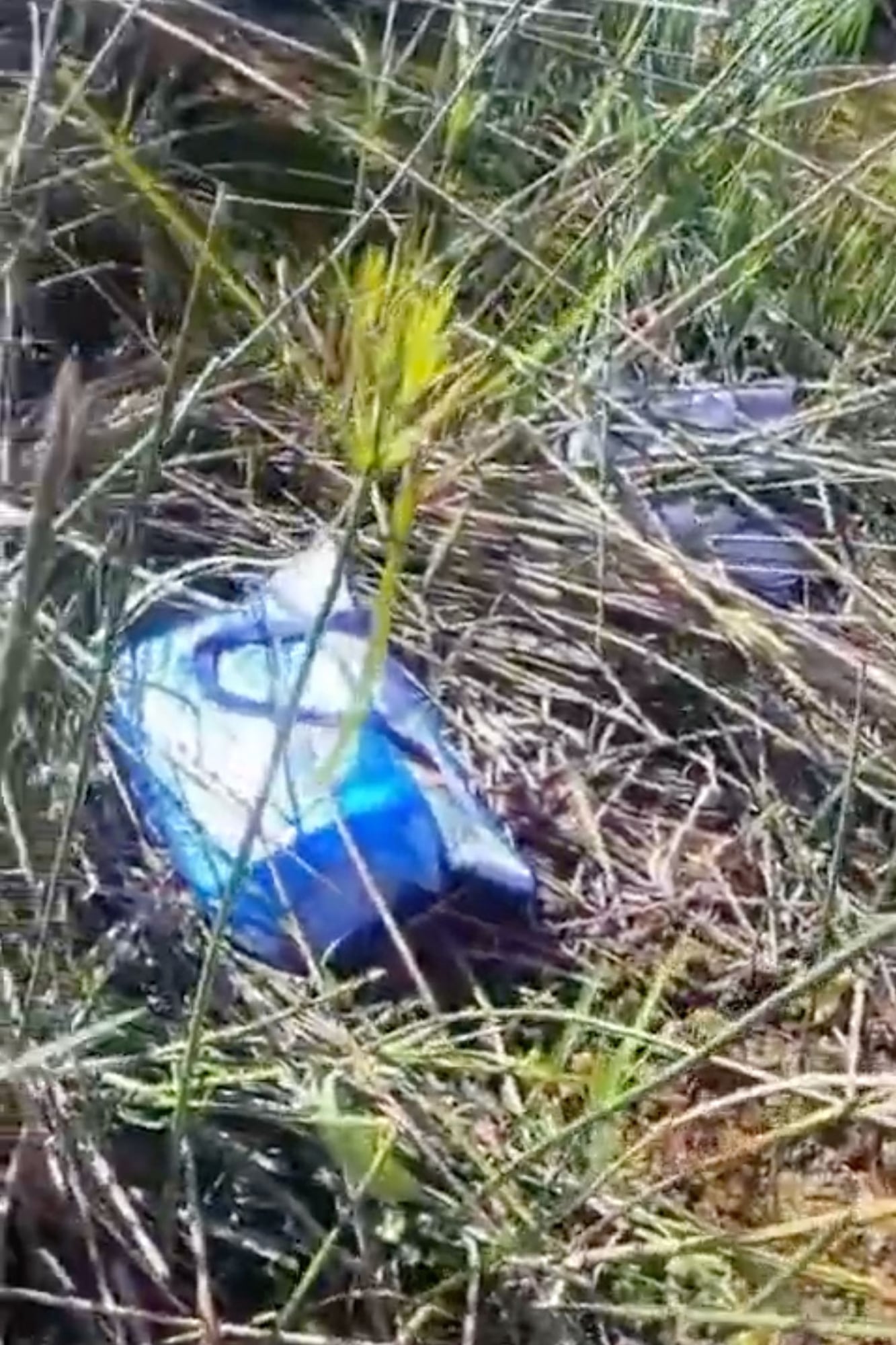 Un bolso de la docente asesinada, en el lugar donde fue hallado el cuerpo