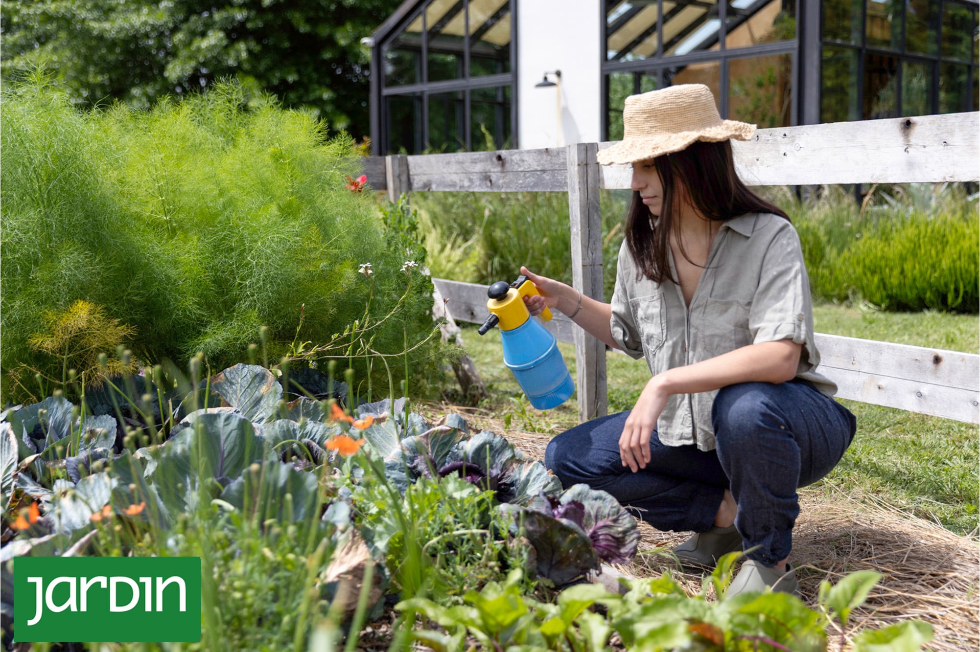 El spray casero que protege las plantas del sol fuerte y se prepara en minutos