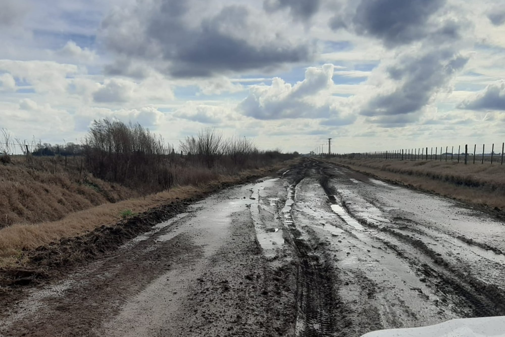 Un camino en Colón