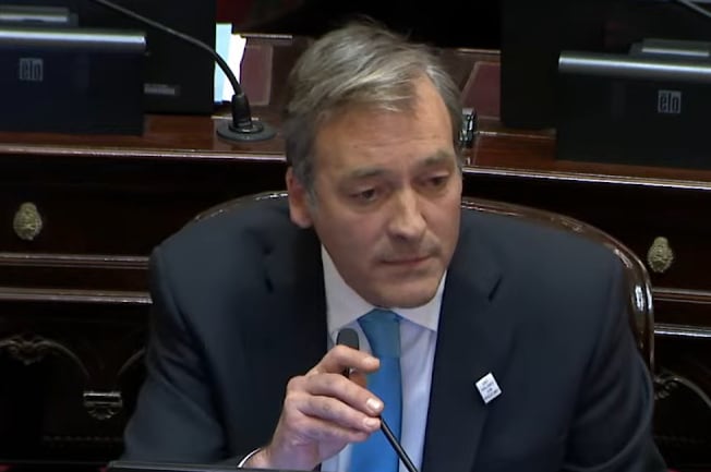 El legislador rionegrino cargó contra la gestión libertaria