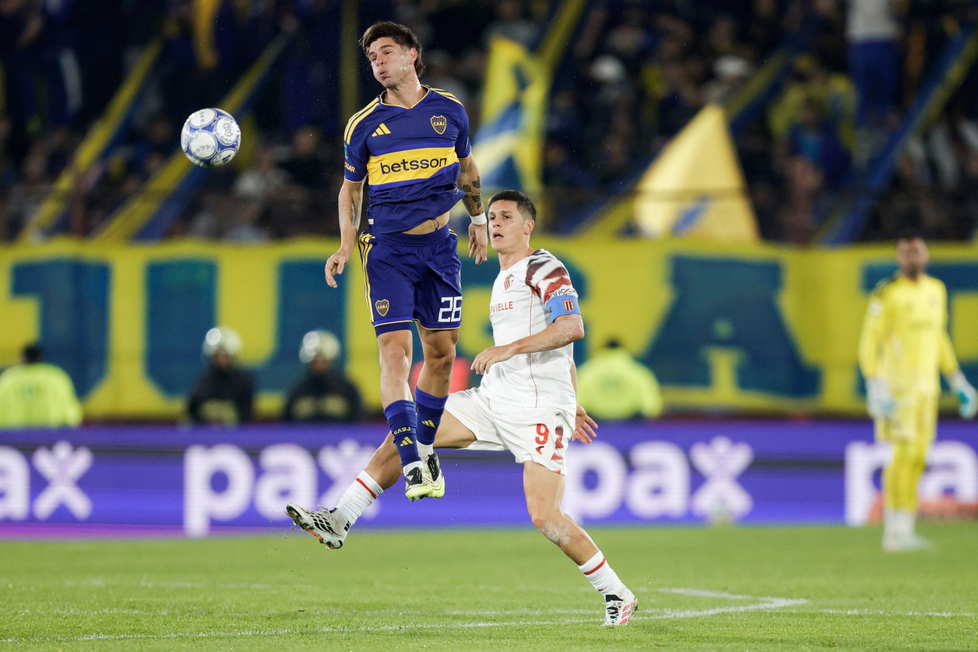 Pellegrino contra Carrillo