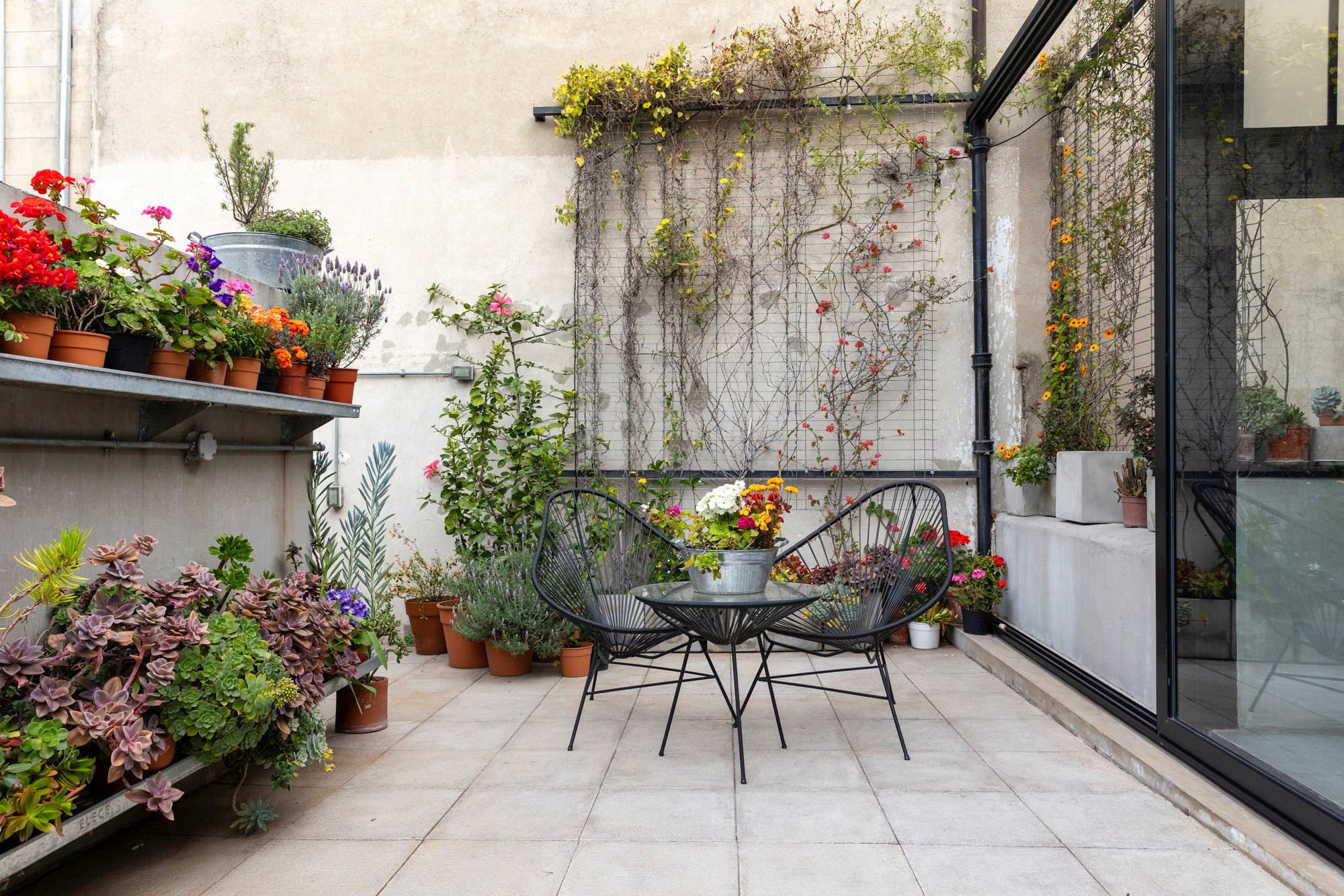 Las plantas en estantes aprovechan la altura, liberan espacio en el piso y suman profundidad visual en terrazas pequeñas