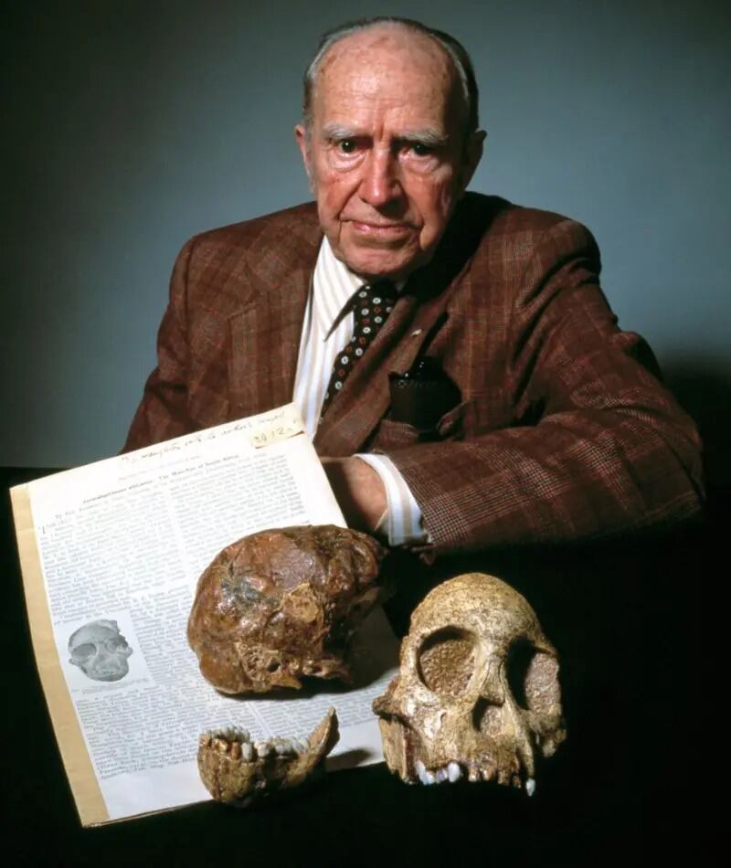 Dart vivió para ver el significado de su hallazgo y la teoría de Darwin corroborados