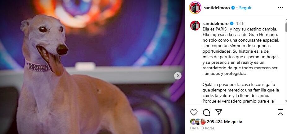 El posteo de Santiago Del Moro sobre Paris y su importante pedido