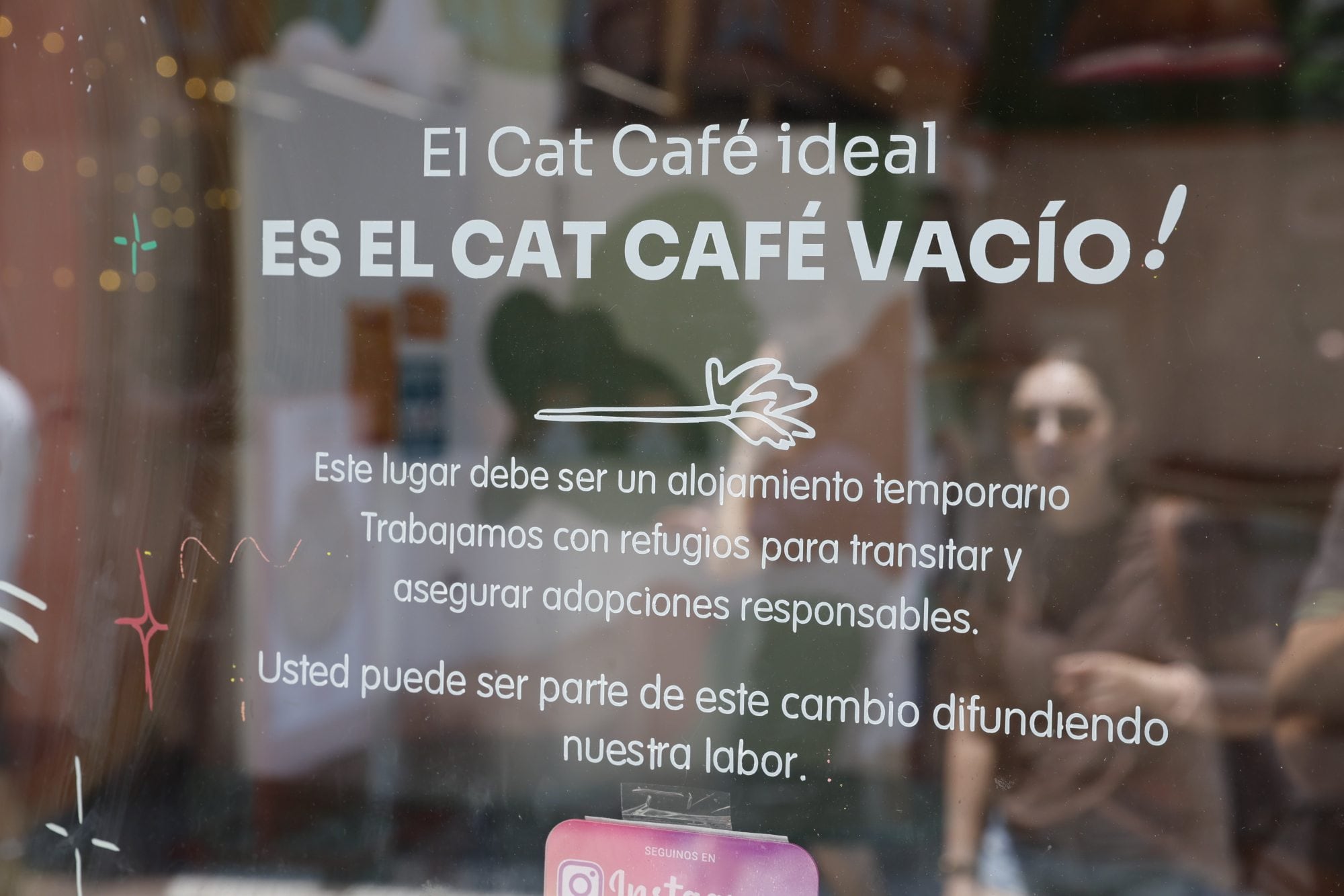 En el Barrio Chino hay un café apto para gatos que además funciona como refugio