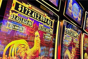 El pozo de Lion Link ya supera los $172 millones en Bingo Oasis Pilar