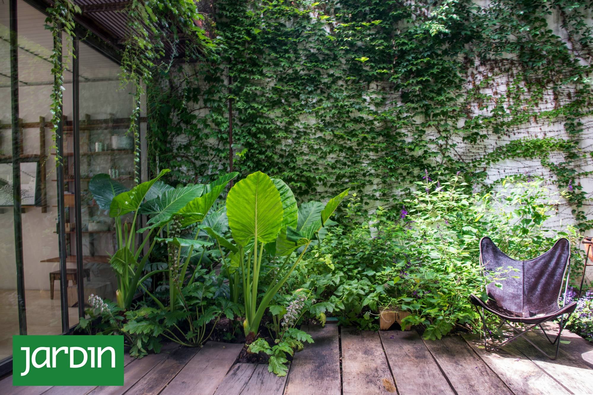 Jardines en espacios chicos: soluciones verticales y recursos verdes para patios urbanos