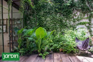 Soluciones verticales y recursos verdes para patios urbanos