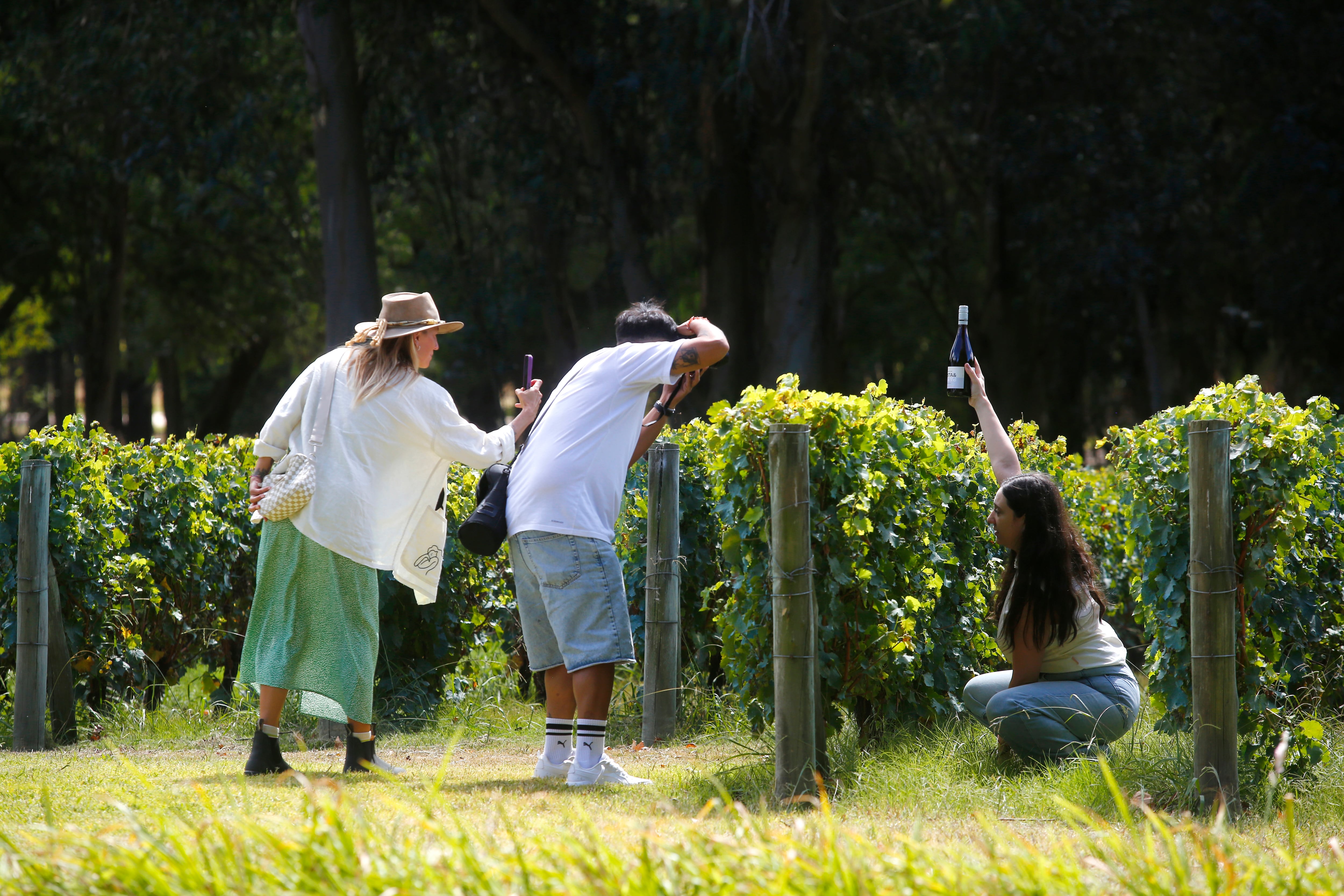 Fotos para recordar la experiencia de la vendimia colaborativa