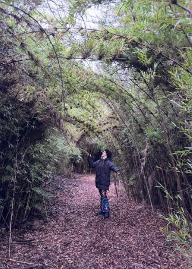 Brenda se fotografió en un sendero rodeado de cañas de bambú (Foto: Instagram/@brendagandiniok)