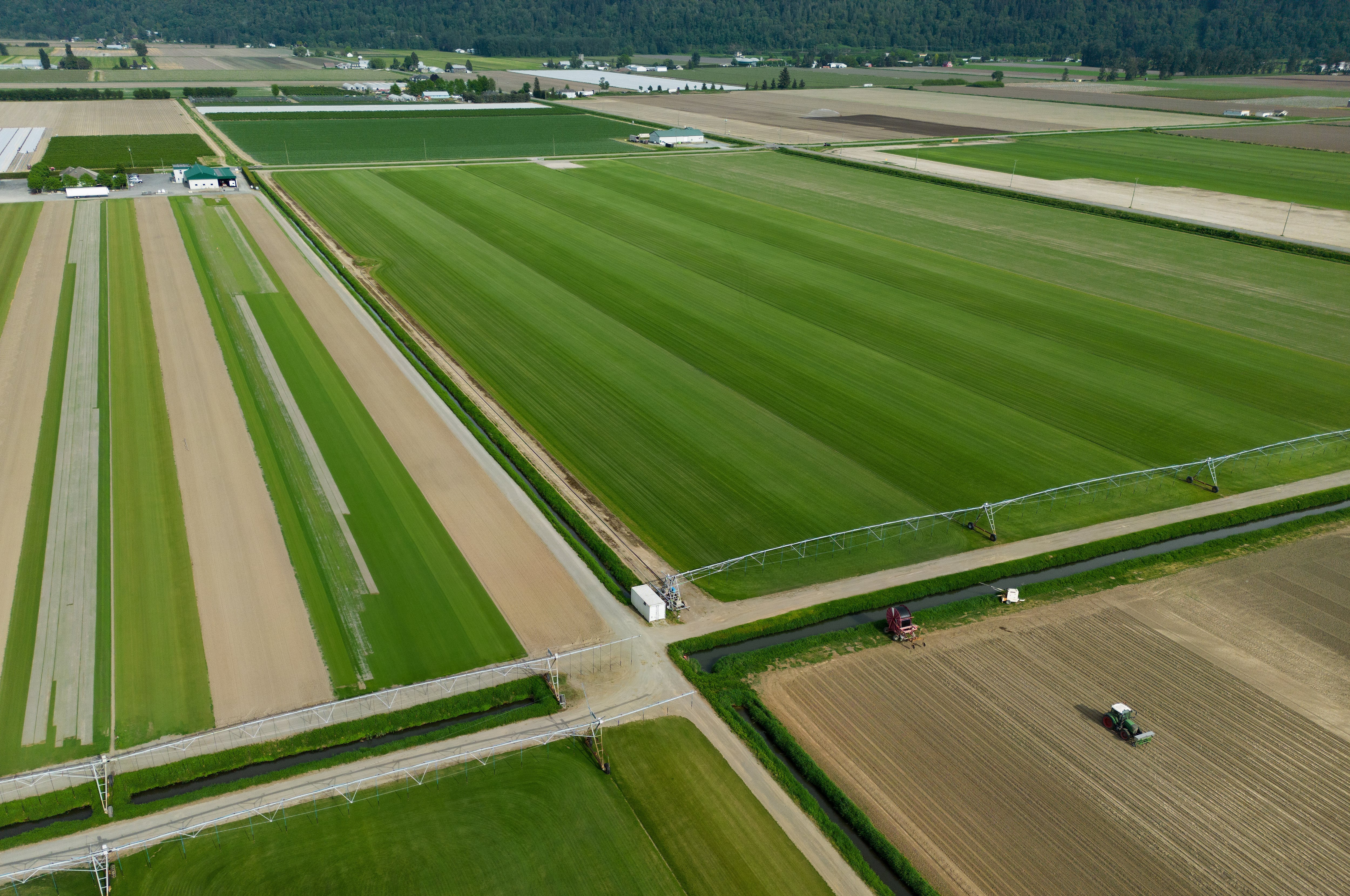 Toma aérea de los campos de Bos Sod Farms, la empresa que tiene contrato para cultivar césped utilizado en el Mundial. La foto fue tomada el sábado 9 de mayo de 2026 en Abbotsford, Canadá (Darryl Dyck/The Canadian Press via AP)