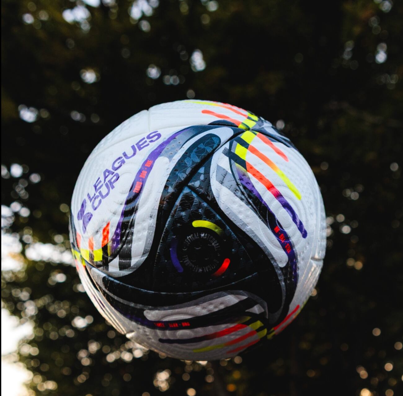 La gran final del torneo se llevará a cabo el próximo 31 de agosto, aunque la sede aún no está definida (Facebook/@LeaguesCup)